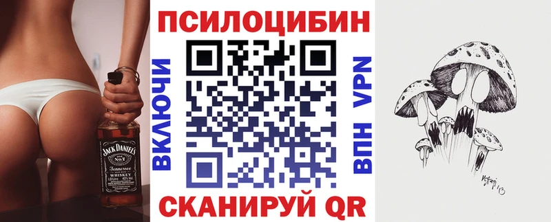 Галлюциногенные грибы MAGIC MUSHROOMS  закладка  Калтан 